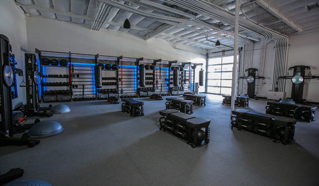 GFX Studio Gym Rax Storage Group Training Gym Design