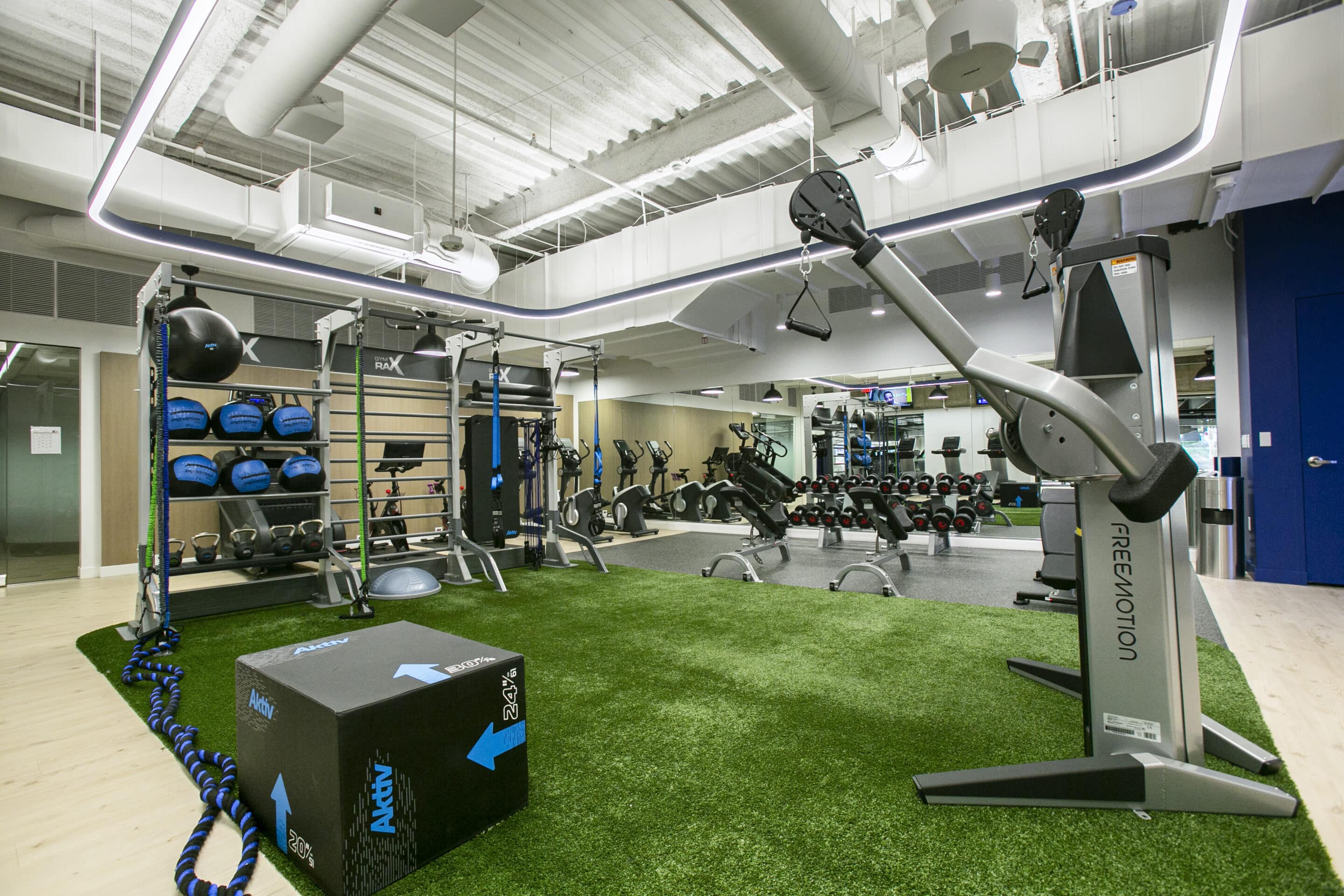 Multifamily building gym with turf, GYM RAX bays and Freemotion equipment.