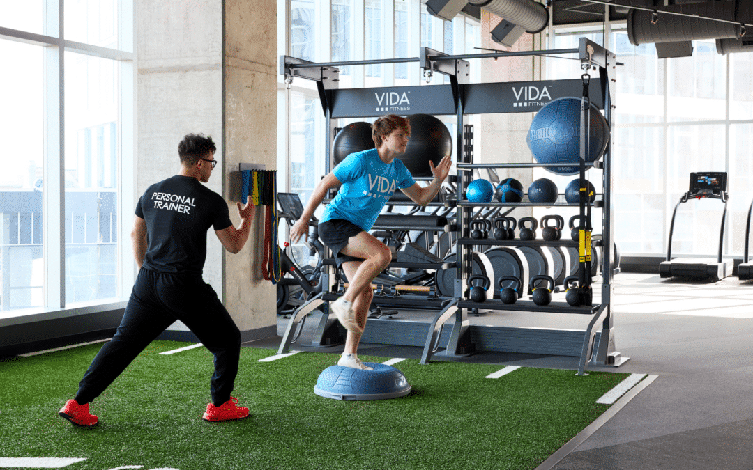 Vida Fitness: Optimized For Movement